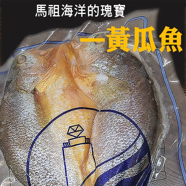 大黃魚微鹹黃魚醃制 免調味黃花魚冷凍黃瓜魚 黃魚大黄魚馬祖