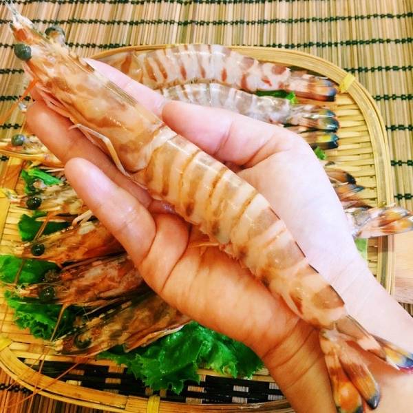 深海野生大明蝦(5尾裝) 大明蝦,明蝦沙拉,大尾蝦,吮指回味,年菜,宴客,生鮮,實拍,現貨,温好鮮