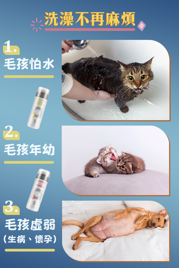 【Meow】毛孩免水洗清潔神器 