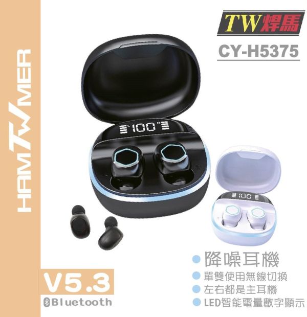 無線藍牙耳機V5.3 台灣出貨,無線藍牙耳機,耳機,藍牙耳機,藍牙版本5.3,無柄設計,LED電量顯示,附贈充電線,耳麥,無線耳機,3C產品