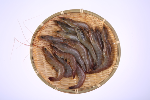 台灣友善養殖白蝦 