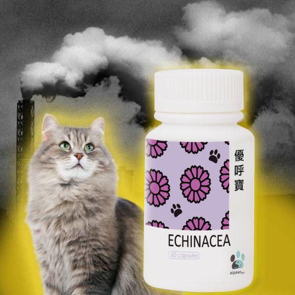貓貓-優呼寶60顆/瓶,寵物呼吸道保健第一選擇（滿1500元免運） 愛寶, 優呼寶, 貓呼吸道, 貓咳嗽, 貓氣管,貓免疫力,紫錐花,牛磺酸,離胺酸