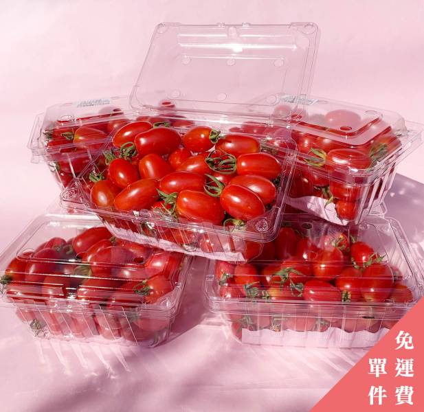 溫室栽植 玉女蕃茄 10盒裝(免運)【環保安全】 玉女小蕃茄,埔里農場,有機無毒蔬果,小番茄團購