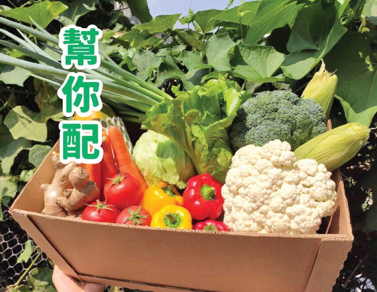 無毒綜合蔬果箱 (單人份10~11樣)【免運費】 能高綜合蔬果箱、週配蔬果箱,宅配蔬果,網購蔬菜