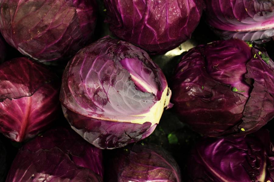 台灣紫高麗菜 (700g)【無毒安全】 紫高麗菜,生機飲食,生菜沙拉,紫高麗菜哪裡買,紫甘藍哪裡買