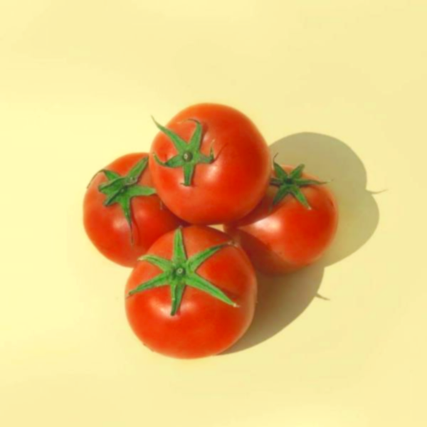*溫室栽種* 全紅大蕃茄 【無毒安全】 牛蕃茄,大蕃茄,有機蕃茄,哪裡買有機番茄,番茄