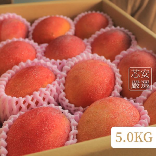 【台湾産マンゴーを日本へお届け】芯安鮮果のご紹介 マンゴー,食べ頃,アップルマンゴー,コストコ,通販,
完熟,千疋屋,値段,かき氷