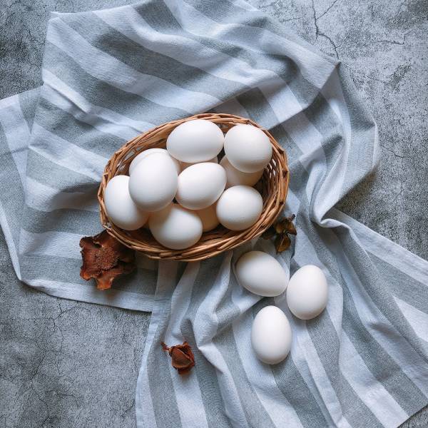 日陽。極上白玉蛋(箱裝優惠，210入裝) 蛋,新鮮雞蛋,土雞蛋,牧場直營,洗選蛋,有機