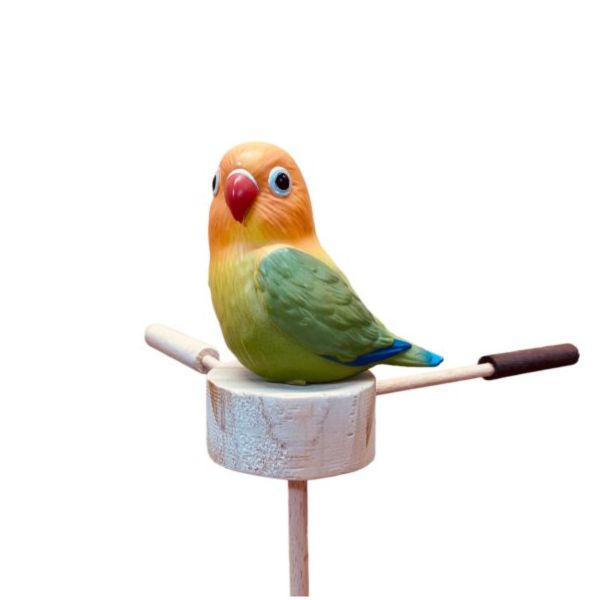 MY PET BIRD 綠繡眼專屬站架 綠繡眼、專屬站架、站棍材料、直徑6~10mm、小綠、快速飛跳、抓握力、底座開槽、小花樣式、飼料、小點心、安全飲食、乾淨飲食