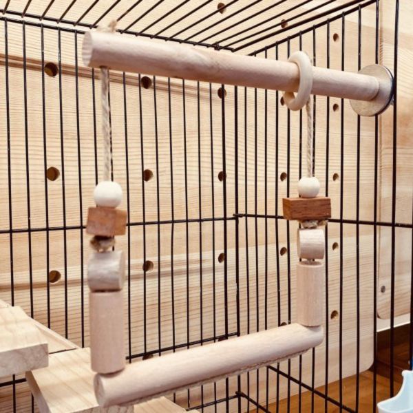 MY PET BIRD   打造小鸚鵡的家組合 鸚鵡小木屋 鳥窩 鳥巢鳥窩鳥籠 鳥窩 鳥巢 寵物用品 寵物鳥
