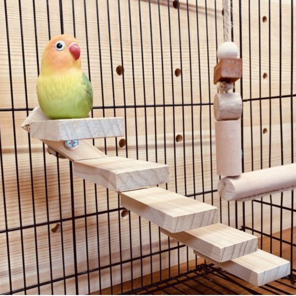MY PET BIRD   打造小鸚鵡的家組合 鸚鵡小木屋 鳥窩 鳥巢鳥窩鳥籠 鳥窩 鳥巢 寵物用品 寵物鳥