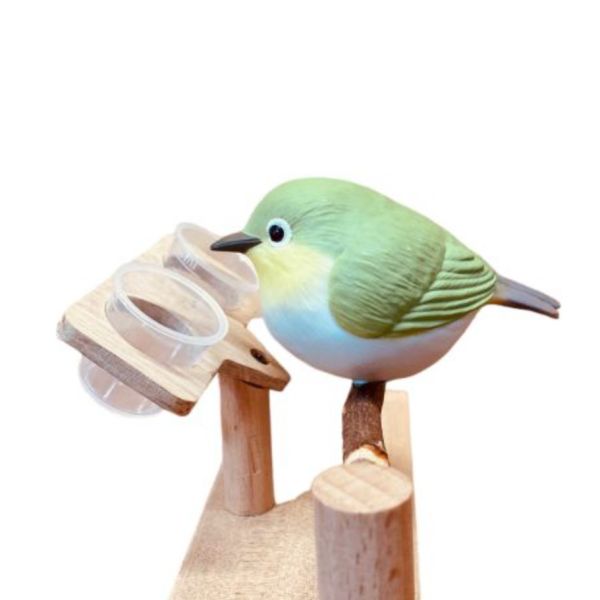 MY PET BIRD綠繡眼：輕巧食物站架的最佳選擇 輕巧食物站架
綠繡眼食物架