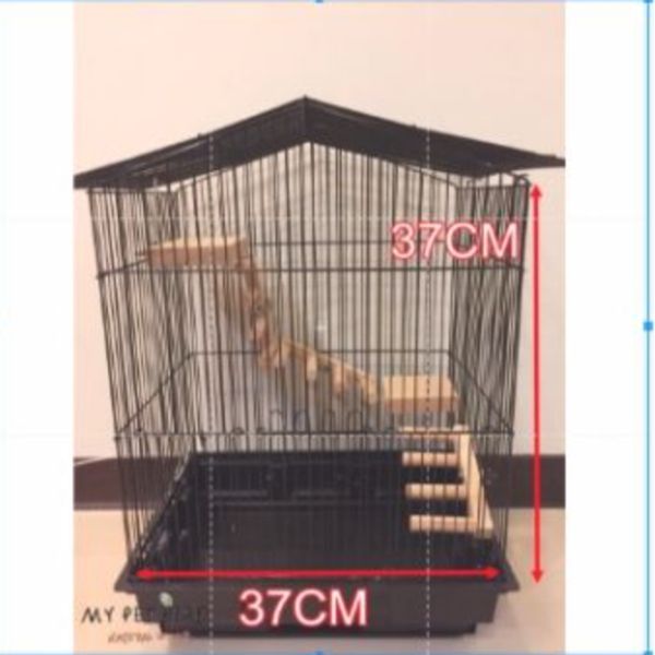 MY PET BIRD 鸚鵡攀爬梯 鳥用梯子
小型鳥用梯子
鳥類攀爬梯
鳥籠玩具
天然竹製鳥用梯子
鳥類運動訓練用品
安全可靠鳥用梯子
易於安裝的鳥用梯子
適用於不同大小的鳥籠
高品質鳥用梯子