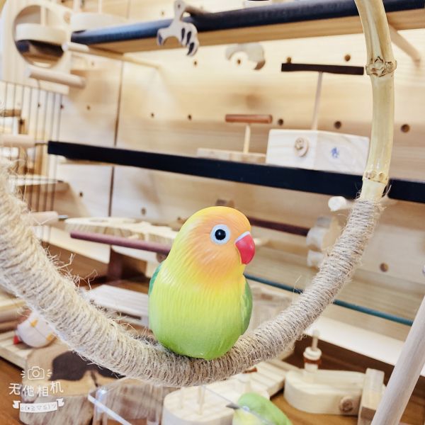 MY PET BIRD 鸚鵡竹鞦韆 鳥用鞦韆
小鸚鵡鞦韆
3D立體造型鞦韆
方形支架座鞦韆
鳥類遊戲玩具
鳥類運動器材
室內外適用鳥類鞦韆
容易清洗鳥用鞦韆
鳥類健康促進器材
鳥類樂趣遊戲器材