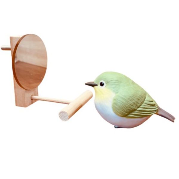 MY PET BIRD 綠繡眼迷你鏡 鳥用鏡子、鳥類玩具、視覺刺激、鳥類娛樂、互動玩具、心理刺激、社交模擬、健康心態、寵物鳥、愉悅體驗、愛護鳥類、實用產品