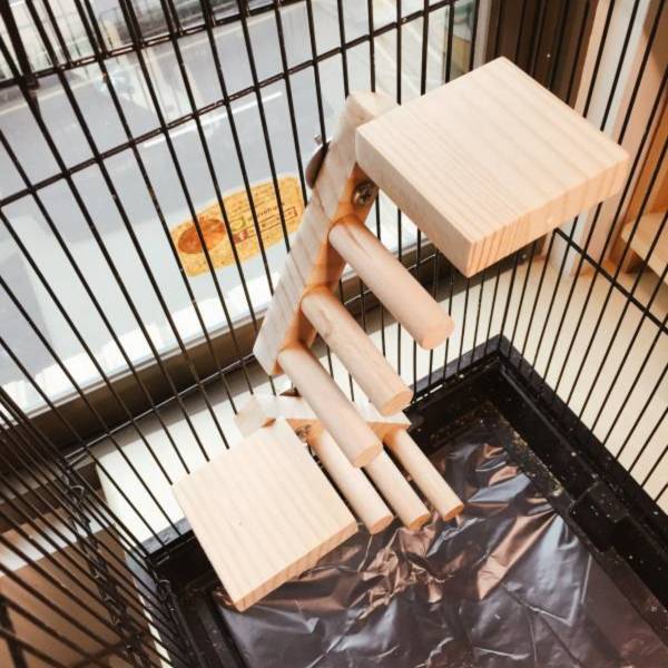 MY PET BIRD 提升綠繡眼鳥籠體驗！創意無限的雙向梯產品 鳥用梯子
小型鳥用梯子
鳥類攀爬梯
鳥籠玩具
天然竹製鳥用梯子
鳥類運動訓練用品
安全可靠鳥用梯子
易於安裝的鳥用梯子
適用於不同大小的鳥籠
高品質鳥用梯子