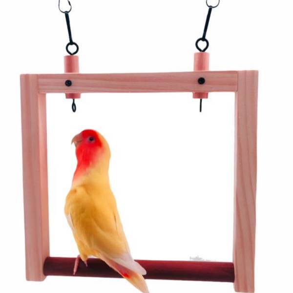 MY PET BIRD  實用中型鸚鵡鞦韆 中型鸚鵡鞦韆、手工製作鞦韆、寬大結實鞦韆、可掛咬物鞦韆、優質材料鞦韆、耐用舒適鞦韆、中型鸚鵡用品、鳥類遊玩場所