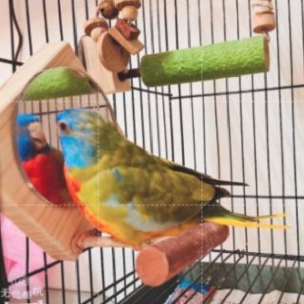 MY PET BIRD 小型鳥站鏡 鳥用鏡子、鳥類玩具、視覺刺激、鳥類娛樂、互動玩具、心理刺激、社交模擬、健康心態、寵物鳥、愉悅體驗、愛護鳥類、實用產品
