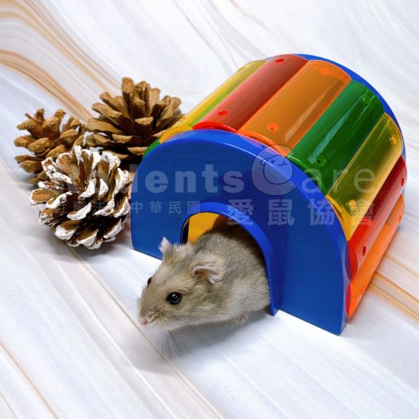 ferplast 義大利 飛寶 BRIDGE 鼠彩橋 鼠鼠彩色拱橋 鼠鼠彩色小屋 塑膠玩具 