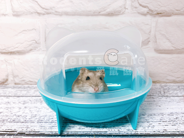 NEW AGE 貓蛋 倉鼠專用浴室 NEW AGE 貓蛋 倉鼠專用浴室
