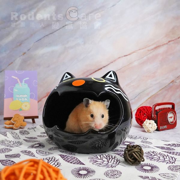 貓貓陶瓷窩 陶瓷窩 大/小 小貓貓倉鼠窩 陶瓷窩