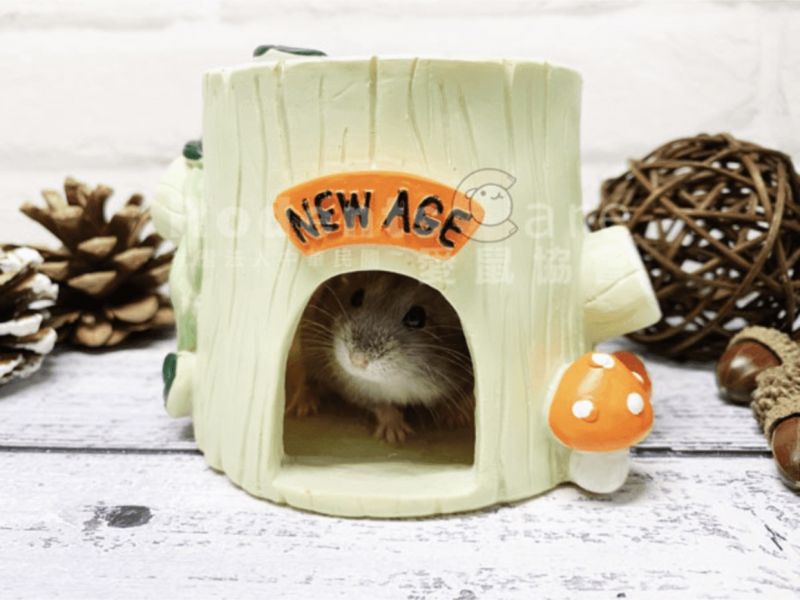 NEW AGE 紐安吉 倉鼠蜂蜜/樹墩/幽靈小屋 NEW AGE 紐安吉 倉鼠蜂蜜小屋