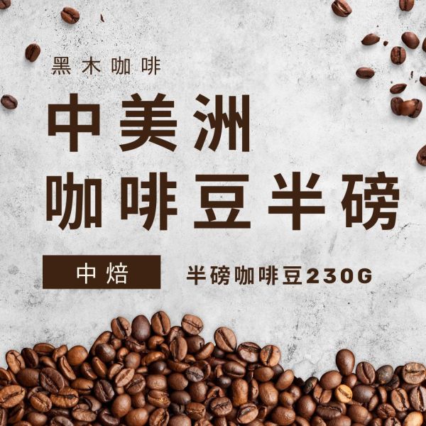 黑木咖啡｜中美洲豆中焙咖啡豆(230G) 