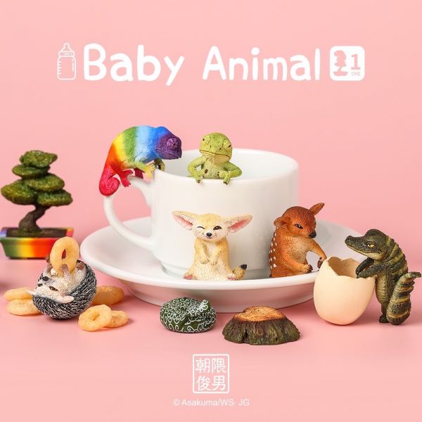 研達 Animal Life 朝隈俊男 Baby Animal 研達,Animal,Life,朝隈俊男,Baby Animal