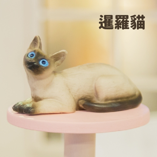 EIKOH 微型動物星球 買即贈隨機貓跳台一個 動物世界 貓  全套 共16款 