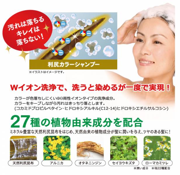 日本代購-日本製 無添加 利尻昆布 洗髮護色染髮洗髮精(共四色) 日本空運,洗髮精