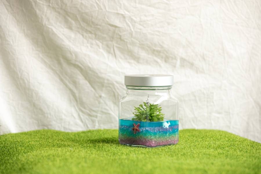 小室瓶栽 食蟲植物系列 毛氈苔 工業風2號瓶  彩虹海洋 吃果凍長大的植物