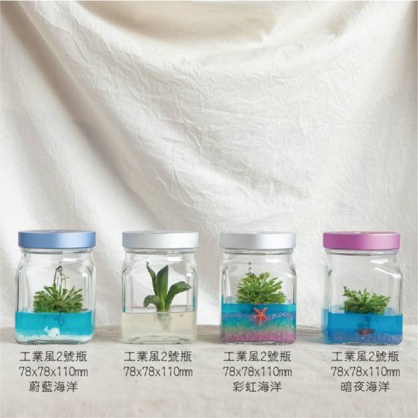小室瓶栽 食蟲植物系列 毛氈苔 工業風2號瓶 蔚藍海洋 吃果凍長大的植物