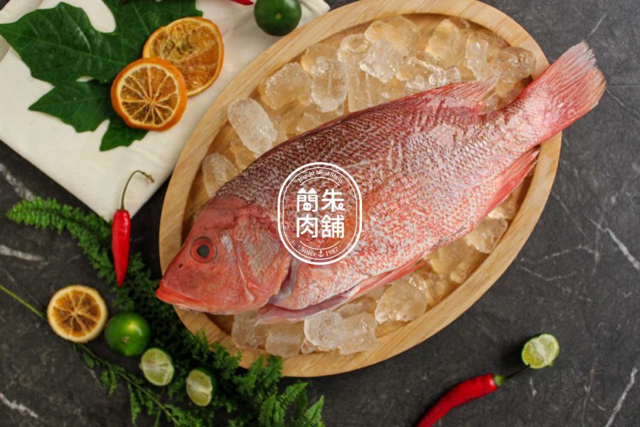 笛鯛（海雞母） 笛鯛
簡朱肉舖
新鮮海鮮
台南美食
台灣漁港
素食者
健康飲食
高蛋白質
豐富維生素
美味佳餚