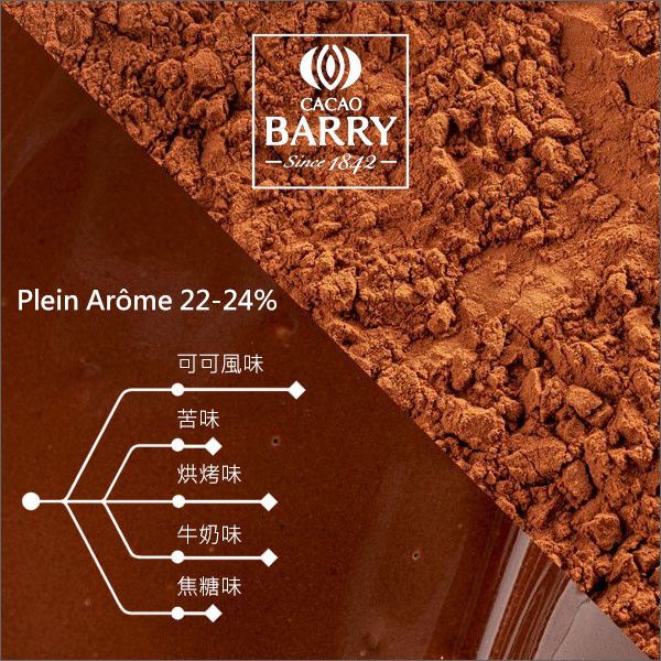 《分裝》法國可可巴芮 Cacao Barry：防潮可可粉【Plein Arôme、22%~24%、輕鹼化】 蛋糕,甜點,餅乾,裝飾,醬汁,冰淇淋,可可熱飲
