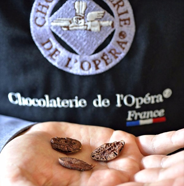 《原裝》法國歐貝拉產地調溫黑巧克力：薩瑪娜【70%、鈕扣、多明尼加】5KG《免運》 法國歐貝拉,巧克力