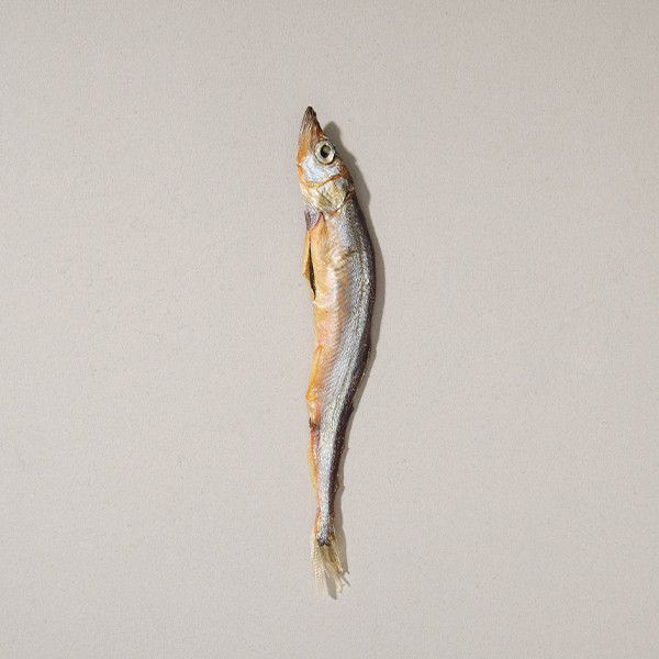 柳葉魚40g 