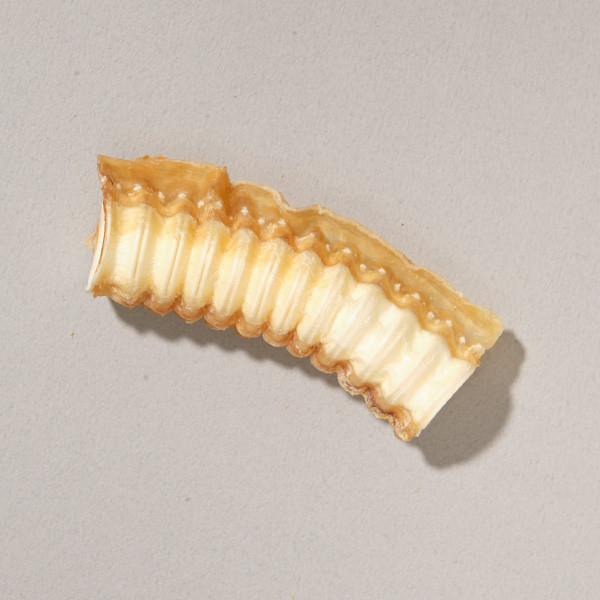 咬咬潔牙鯊魚軟骨 (100g) 