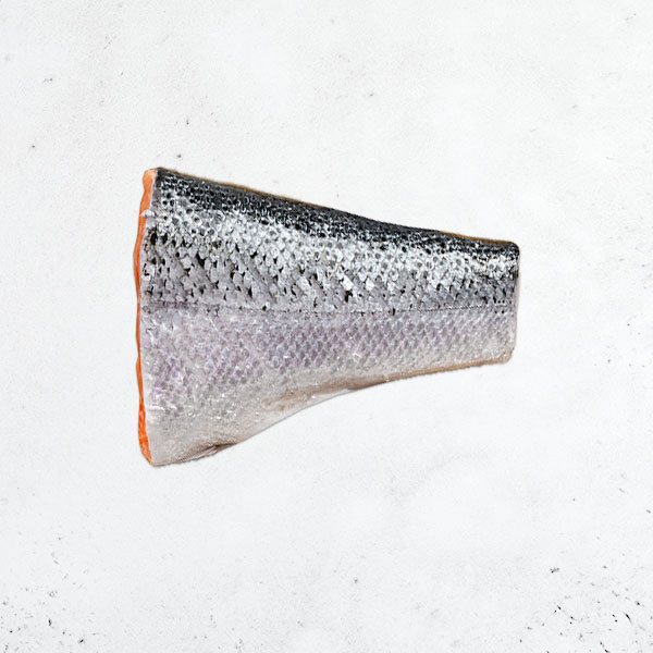 挪威大西洋鮭魚(尾) 鮭魚,大西洋鮭,鱒鮭,鱒魚,挪威,鮭魚尾巴,鮭魚手卷,鮭魚湯,味噌湯