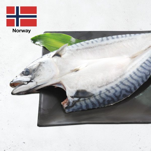 頂級挪威鯖魚一夜干 頂級挪威鯖魚一夜干,鯖魚一夜干,一夜干