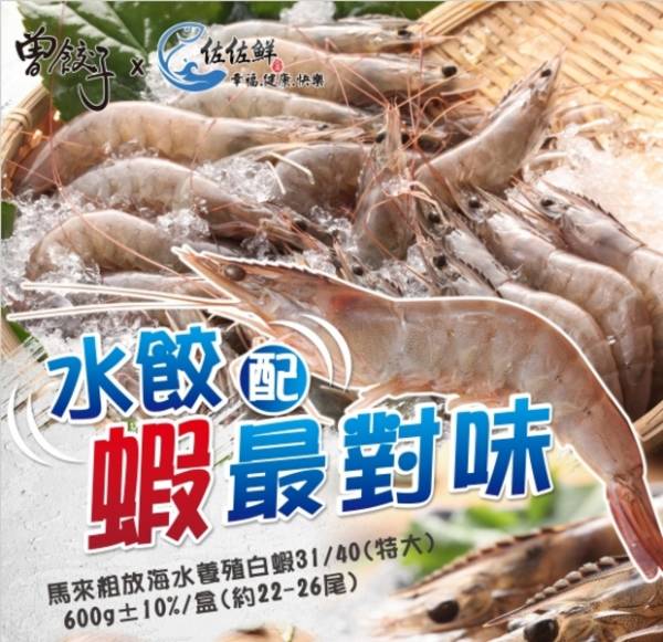 【水餃+蝦最對味】馬來粗放海水養殖白蝦31/40(特大)_600g±10%/盒(約22-26尾) 