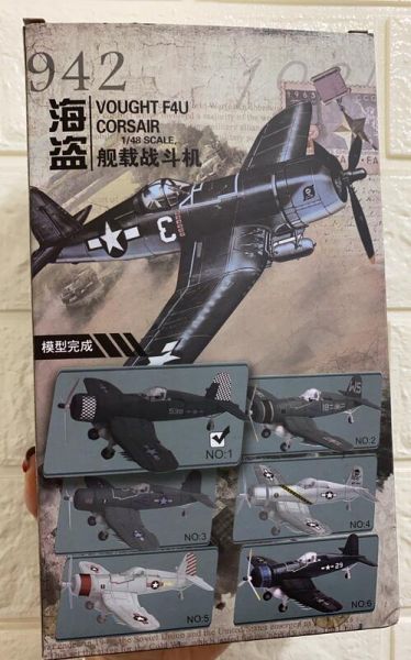 二戰飛機 組裝模型 已上色 