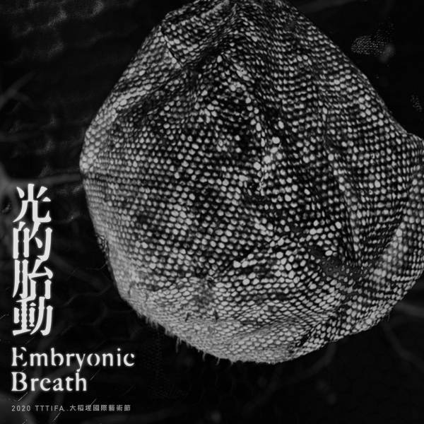 光的胎動 Embryonic Breath _2020TTTIFA大稻埕國際藝術節 
