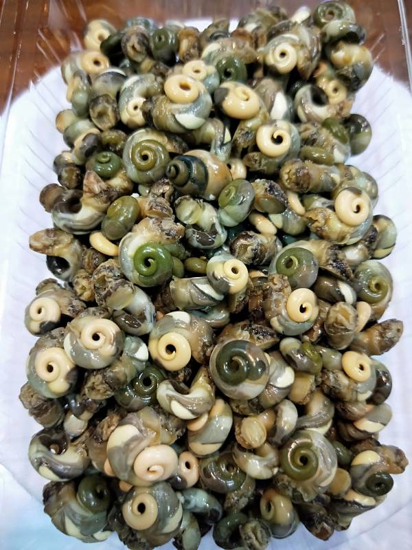 澎湖即食珠螺肉 (粒粒皆珍貴、麗麗皆辛苦) 澎湖珠螺,珠螺,珠螺肉