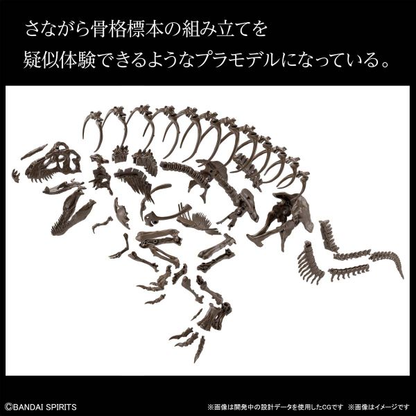 萬代 BANDAI 1/32 幻想骨骼系列 暴龍 組裝模型 