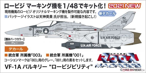 長谷川 HASEGAWA 1/48 VF-1A 女武神 低能見度 組裝模型 