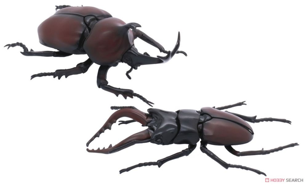 富士美 FUJIMI 自由研究25 生物篇 獨角仙 vs 鍬形蟲 對決套組 組裝模型 