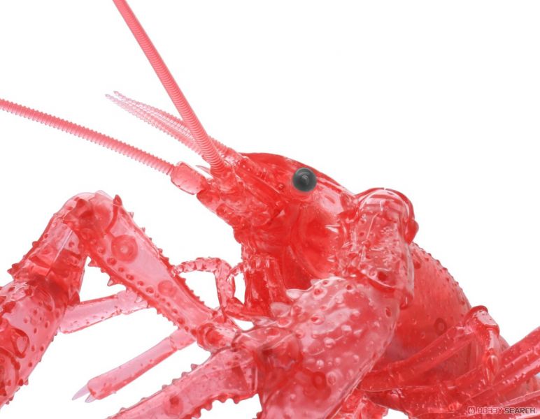 富士美 FUJIMI 自由研究 生物篇 24EX4 171050 美國螯蝦 透明紅色 