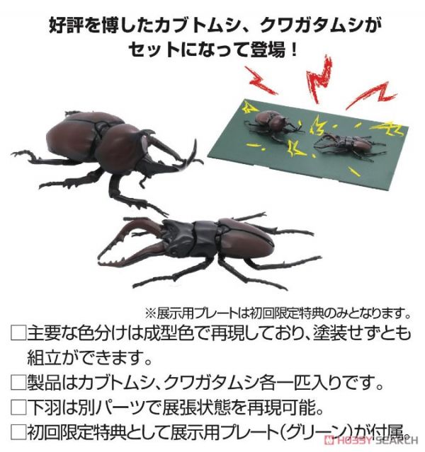 富士美 FUJIMI 自由研究25 生物篇 獨角仙 vs 鍬形蟲 對決套組 組裝模型 