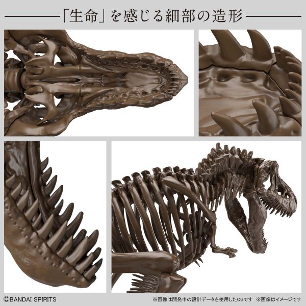 萬代 BANDAI 1/32 幻想骨骼系列 暴龍 組裝模型 