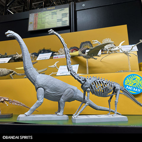 預購11月 萬代 恐龍 腕龍 組裝模型 
